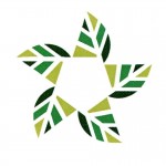 设计一个logo多少钱